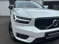 Volvo XC40 T5 R-Design Expr. Plug-In,AHK,BLIS,ACC,Kam Weiß - thumbnail 4