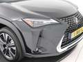 Lexus UX 250h Business Line | Cloud-Based Navigatie | Apple Carp Negro - thumbnail 40