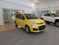 Fiat Panda 1.0 FireFly 65cv S&S 6m Hybrid Icon Giallo - thumbnail 2