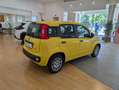 Fiat Panda 1.0 FireFly 65cv S&S 6m Hybrid Icon Giallo - thumbnail 4