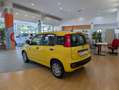 Fiat Panda 1.0 FireFly 65cv S&S 6m Hybrid Icon Giallo - thumbnail 3