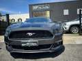 Ford Mustang Fastback 2.3 EcoBoost aut. Grigio - thumbnail 13