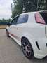 Abarth Punto EVO 1.4 16v t. m.air s&s 165cv White - thumbnail 2