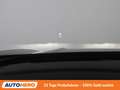 CUPRA Terramar 2.0 TSI VZ 4Drive Schwarz - thumbnail 20