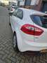 Kia Rio Rio 1.2 CVVT ComfortL. Wit - thumbnail 4