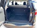 Ford EcoSport Cool&Connect Cool&Connect1,0 Ltr. - 92 kW EcoBo... Black - thumbnail 13