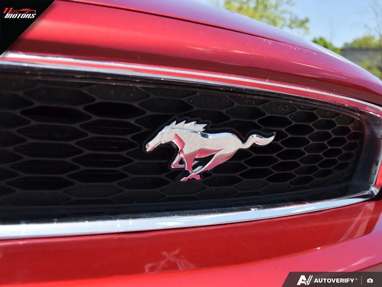 Ford Mustang снимка Ford Mustang