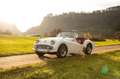 Triumph TR3 a Blanco - thumbnail 4