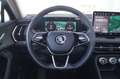 Skoda Kodiaq 4x4 Selection TDI DSG Grau - thumbnail 15