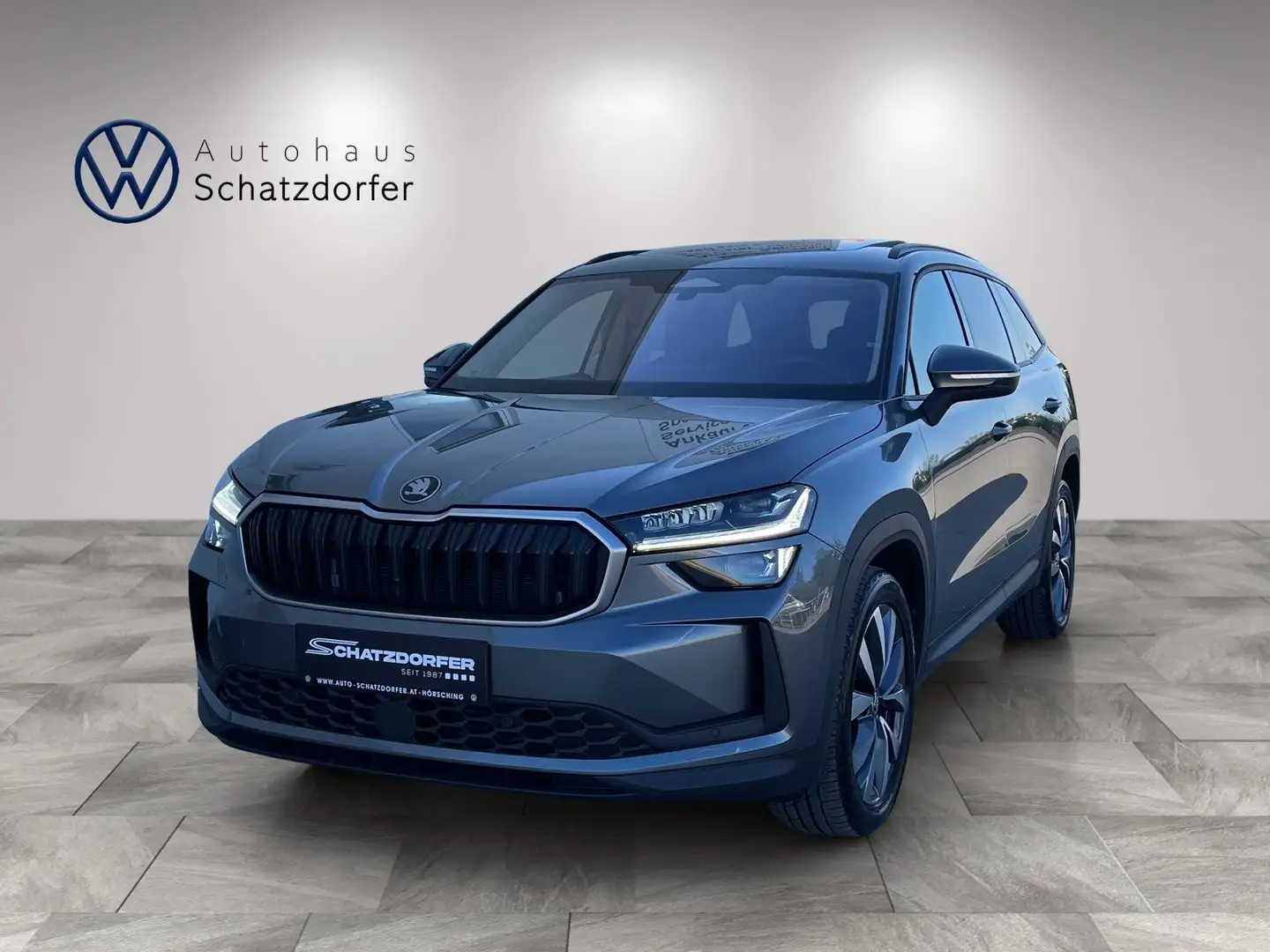 Skoda Kodiaq 4x4 Selection TDI DSG Grau - 1