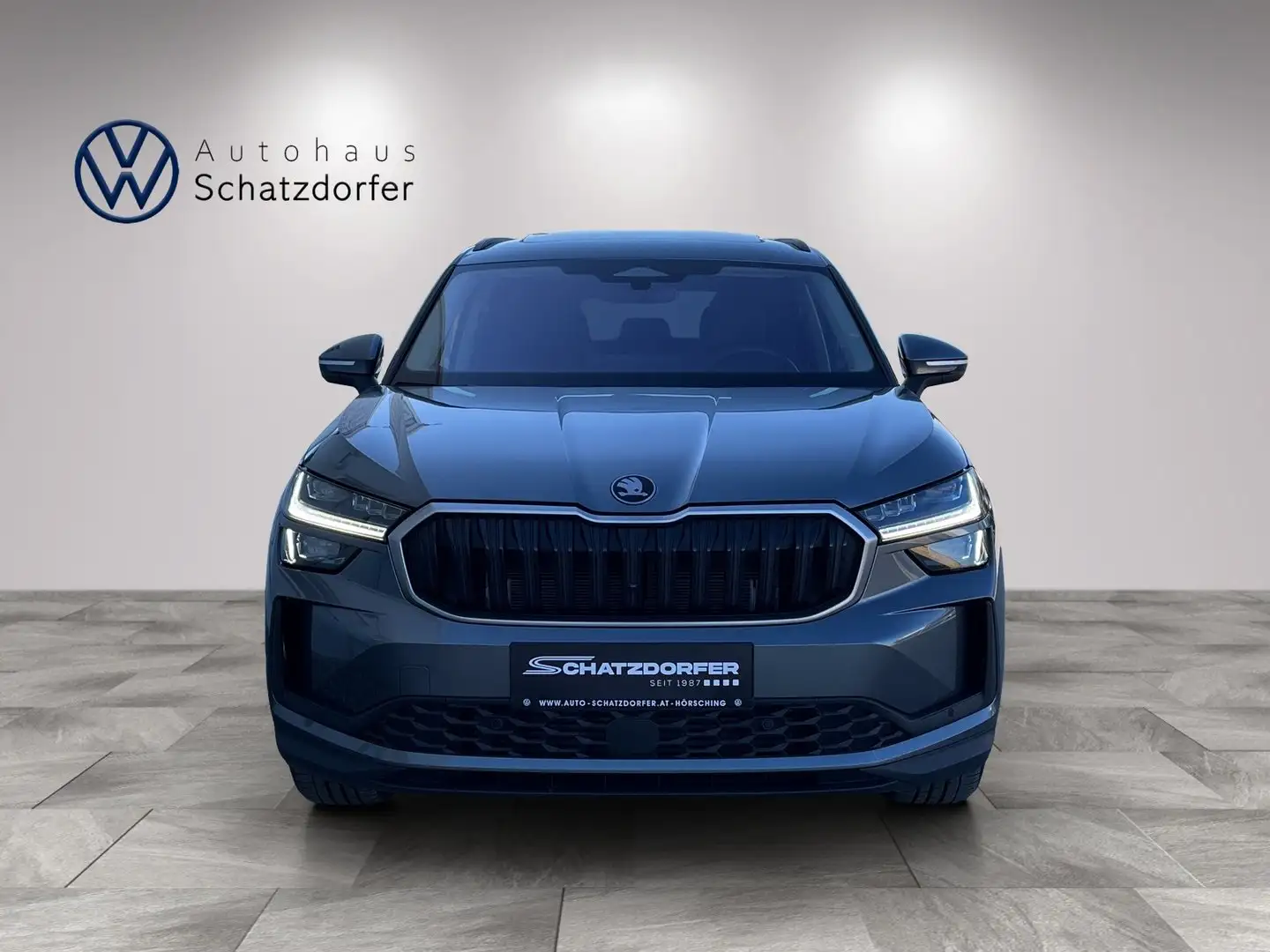 Skoda Kodiaq 4x4 Selection TDI DSG Grau - 2
