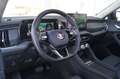 Skoda Kodiaq 4x4 Selection TDI DSG Grau - thumbnail 14