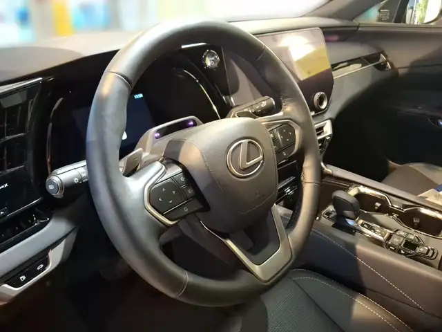 Lexus RX 450h + E-four F-Sport Design BLACK EDITION Ansicht 10