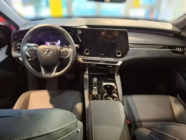 Lexus RX 450h + E-four F-Sport Design BLACK EDITION Ansicht 13