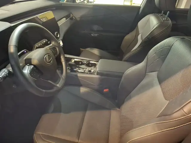 Lexus RX 450h + E-four F-Sport Design BLACK EDITION Ansicht 19