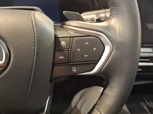 Lexus RX 450h + E-four F-Sport Design BLACK EDITION Ansicht 14