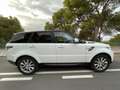 Land Rover Range Rover Sport 3.0 tdV6 HSE auto - thumbnail 3