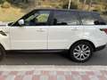 Land Rover Range Rover Sport 3.0 tdV6 HSE auto - thumbnail 6
