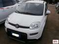 Fiat Panda 1.0 hybrid City Life s&s 70cv 5p.ti Blanc - thumbnail 1