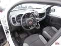 Fiat Panda 1.0 hybrid City Life s&s 70cv 5p.ti Blanc - thumbnail 2