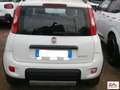 Fiat Panda 1.0 hybrid City Life s&s 70cv 5p.ti Blanc - thumbnail 6