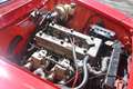 Alfa Romeo GT GT junior 1300 Rosso - thumbnail 6