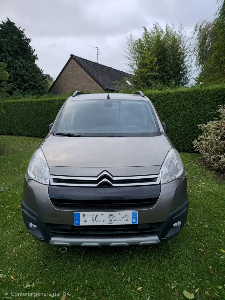 Citroen Berlingo Multispace BlueHDi 100 BVM5 Feel