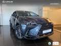 Lexus NX 450h+ Premium+ 4WD Grijs - thumbnail 12
