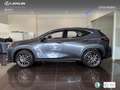 Lexus NX 450h+ Premium+ 4WD Grijs - thumbnail 13