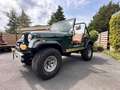 Jeep CJ-7 golden eagle Verde - thumbnail 16