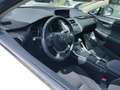 Lexus NX 300h 2.5 Business Navigation 2WD Blanc - thumbnail 7