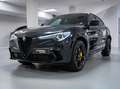 Alfa Romeo Stelvio 2.9 Bi-Turbo V6 510 CV AT8 Quadrifoglio -IVA Schwarz - thumbnail 24