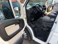 Citroen Jumper Kühlerwagen *Tüv neu Blanc - thumbnail 8
