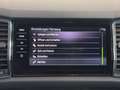 Skoda Kodiaq 2.0 TDI Scout 4x4*AHK*1.BESITZ*ACC*PANO*R-KAMERA* Grau - thumbnail 34