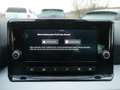 SEAT Ibiza 1.0 TSI Style Edition KLIMA PDC SHZ LED Weiß - thumbnail 9