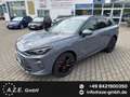 CUPRA Terramar VZ 2.0 TSI DSG 4x4 *AHK*NAVI*LED*EL.KLAPPE*360°... Grau - thumbnail 1