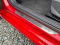 SEAT Ibiza Xcellence TDI Rot - thumbnail 9