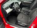 SEAT Ibiza Xcellence TDI Rot - thumbnail 3