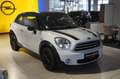 MINI Cooper Paceman COOPER Paceman  ~Leder~Bluetooth~Bi-Xen~Scheckh~ Weiß - thumbnail 1