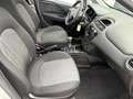 Fiat Punto 1.2 Lounge 69CV*EURO6*NEOPATENTATI Plateado - thumbnail 10