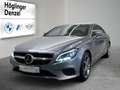 Mercedes-Benz CLS 350 CLS 350 BlueTEC 4MATIC Silber - thumbnail 1