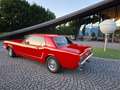 Ford Mustang Alles neu Rosso - thumbnail 5