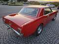 Ford Mustang Alles neu Rosso - thumbnail 10