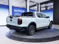 Ford Ranger 2,0 l EcoBlue Doppelkabine Autm. Wildtrak Alb - thumbnail 14