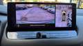 Nissan Qashqai 1.3MHEV 158CV X-TRONIC N-CONNECTA*24M.G.*CAM.360* Grau - thumbnail 11