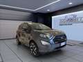 Ford EcoSport 1.0 ecoboost ST-Line s&s 125cv Grigio - thumbnail 7