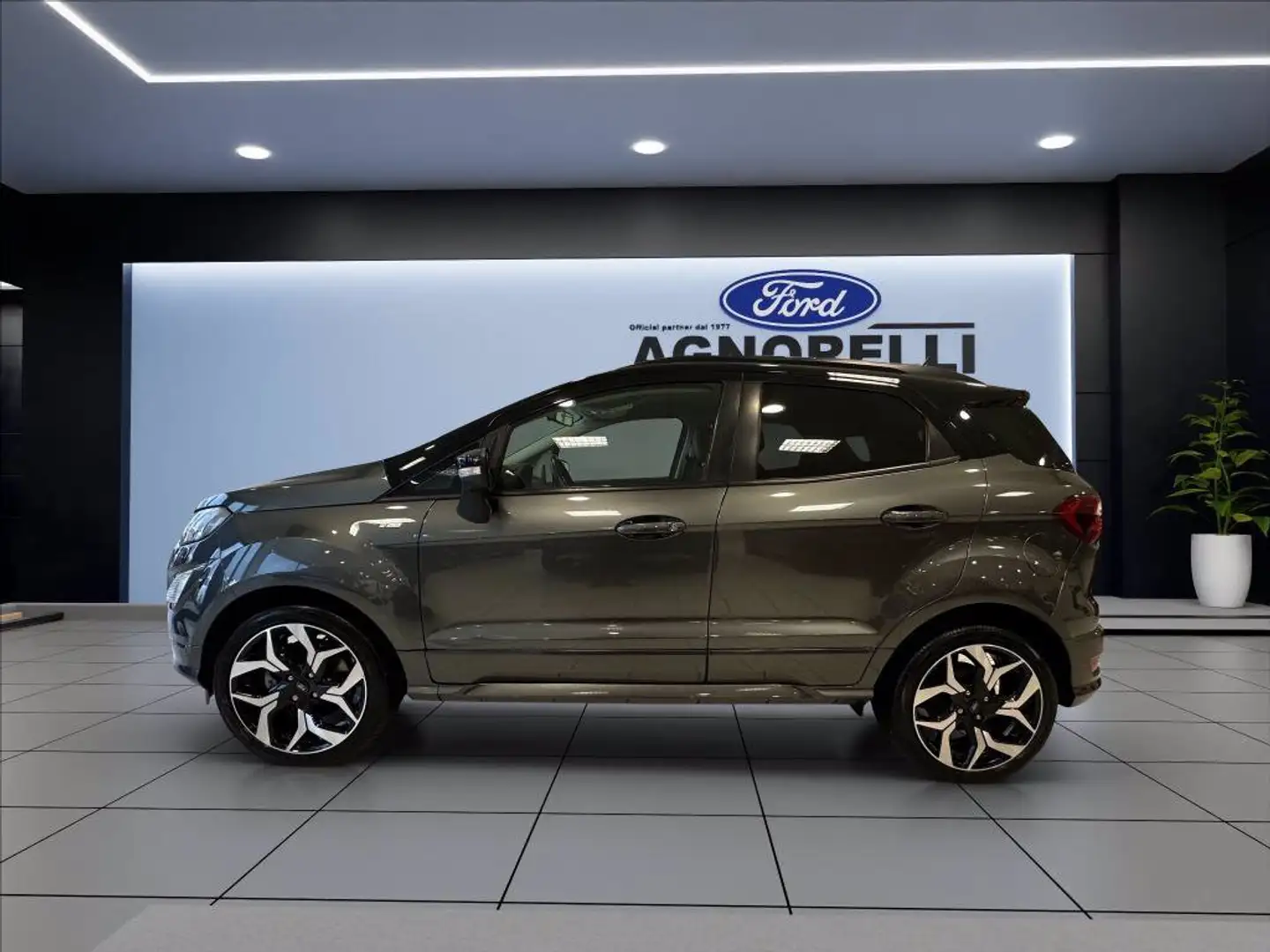 Ford EcoSport 1.0 ecoboost ST-Line s&s 125cv Grigio - 2