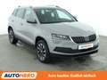 Skoda Karoq 1.0 TSI Drive 125*LED*TEMPO*CAM*PDC* Grau - thumbnail 8