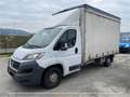 Fiat Ducato CENTINA E TELONE Bianco - thumbnail 1