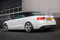 Audi S5 Cabriolet 3.0 TFSI S5 Quattro Pro Line S-Line / Ni Blanco - thumbnail 40